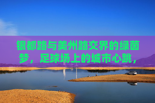 银都路与美州路交界的绿茵梦，足球场上的城市心跳，银都路美州路，绿茵梦里的城市心跳