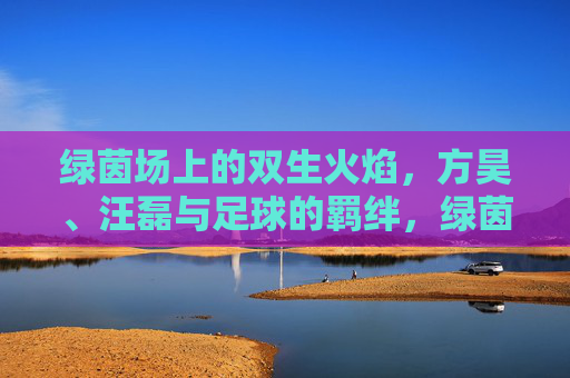 绿茵场上的双生火焰，方昊、汪磊与足球的羁绊，绿茵双生焰，方昊、汪磊的足球羁绊