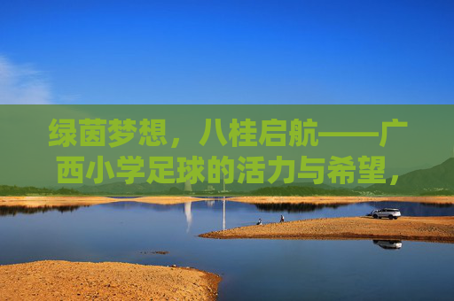绿茵梦想，八桂启航——广西小学足球的活力与希望，绿茵梦想启航八桂，活力希望小学足球