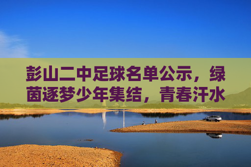 彭山二中足球名单公示，绿茵逐梦少年集结，青春汗水铸就未来，彭山二中足球名单公示，绿茵逐梦少年集结，青春汗水铸就未来