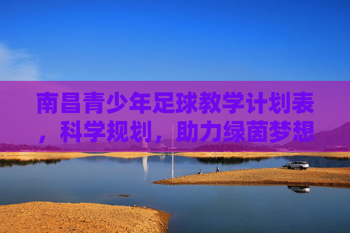 南昌青少年足球教学计划表，科学规划，助力绿茵梦想成长，南昌青少年足球教学计划表，科学规划助力绿茵梦想成长