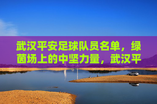 武汉平安足球队员名单，绿茵场上的中坚力量，武汉平安足球队员名单，绿茵场上的中坚力量