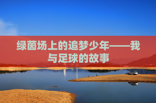 绿茵场上的追梦少年——我与足球的故事