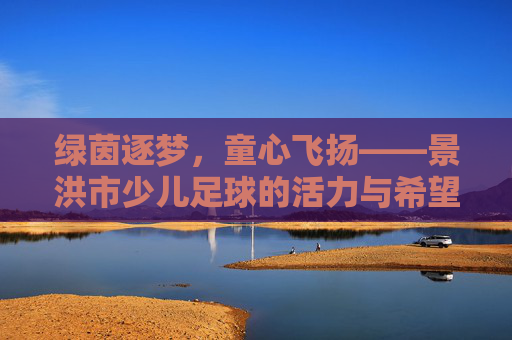 绿茵逐梦，童心飞扬——景洪市少儿足球的活力与希望，绿茵逐梦，童心飞扬——景洪市少儿足球的活力与希望
