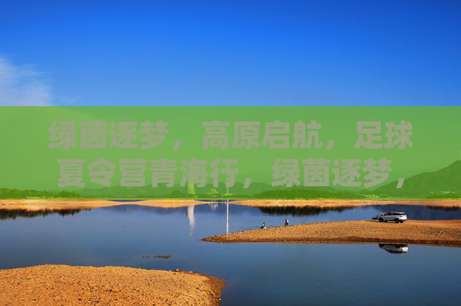 绿茵逐梦，高原启航，足球夏令营青海行，绿茵逐梦，高原启航，足球夏令营青海行