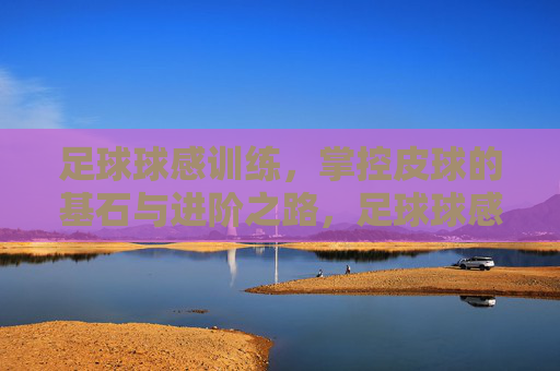 足球球感训练，掌控皮球的基石与进阶之路，足球球感训练，从基石到进阶的掌控之路