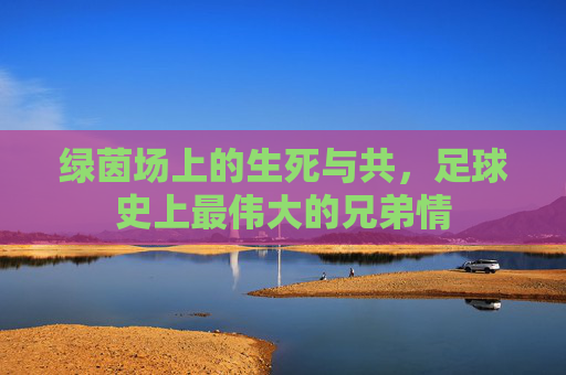 绿茵场上的生死与共，足球史上最伟大的兄弟情