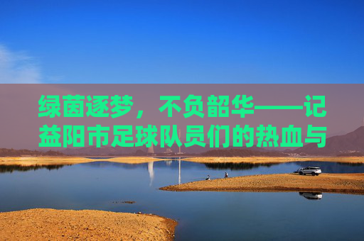 绿茵逐梦，不负韶华——记益阳市足球队员们的热血与坚守，逐梦绿茵，热血坚守——益阳足球队员