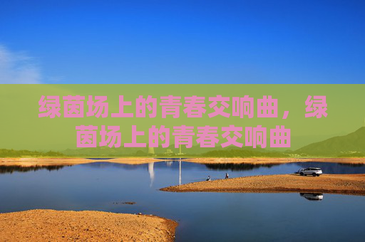 绿茵场上的青春交响曲，绿茵场上的青春交响曲
