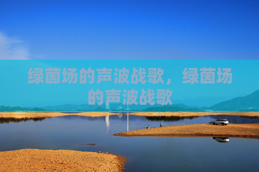 绿茵场的声波战歌，绿茵场的声波战歌