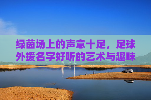 绿茵场上的声意十足，足球外援名字好听的艺术与趣味，足球外援名，绿茵场上的声意与艺术趣味