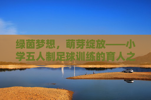 绿茵梦想，萌芽绽放——小学五人制足球训练的育人之旅，绿茵育新苗，小学五人制足球的育人之旅