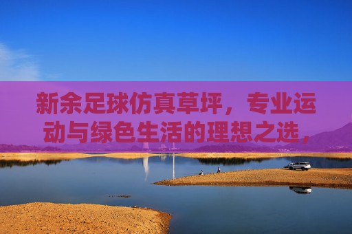 新余足球仿真草坪，专业运动与绿色生活的理想之选，新余足球仿真草坪，专业运动与绿色生活的理想之选