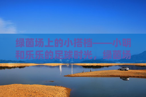 绿茵场上的小搭档——小明和乐乐的足球时光，绿茵场上的足球搭档时光
