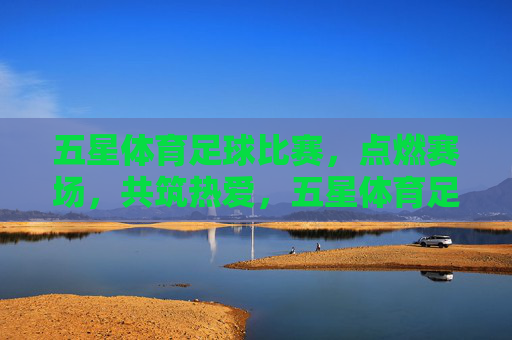 五星体育足球比赛，点燃赛场，共筑热爱，五星体育足球，点燃赛场，共筑热爱