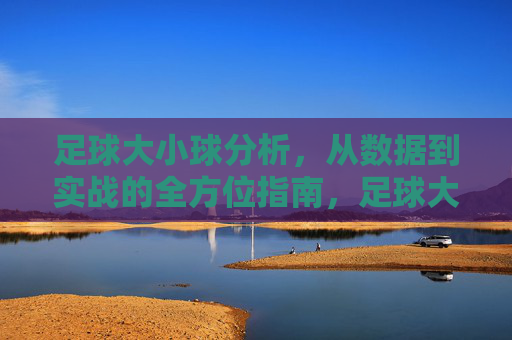 足球大小球分析，从数据到实战的全方位指南，足球大小球数据分析与实战指南