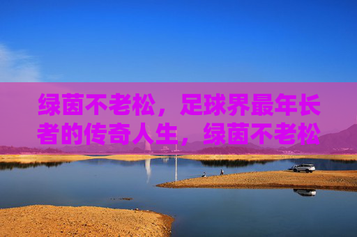 绿茵不老松，足球界最年长者的传奇人生，绿茵不老松，足球界最长者的传奇人生