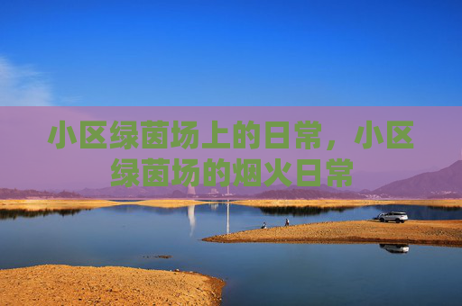 小区绿茵场上的日常，小区绿茵场的烟火日常