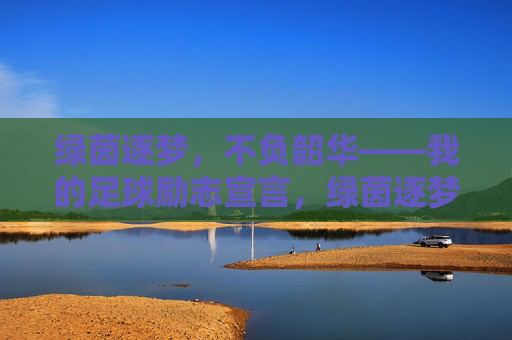 绿茵逐梦，不负韶华——我的足球励志宣言，绿茵逐梦，韶华不负