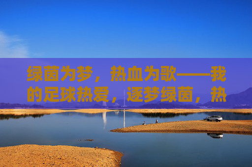 绿茵为梦，热血为歌——我的足球热爱，逐梦绿茵，热血为歌