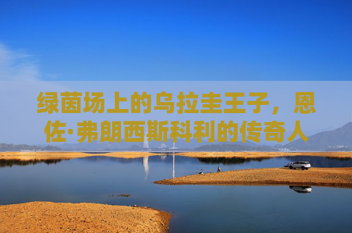 绿茵场上的乌拉圭王子，恩佐·弗朗西斯科利的传奇人生，绿茵场上的乌拉圭王子，恩佐·弗朗西斯科利的传奇人生