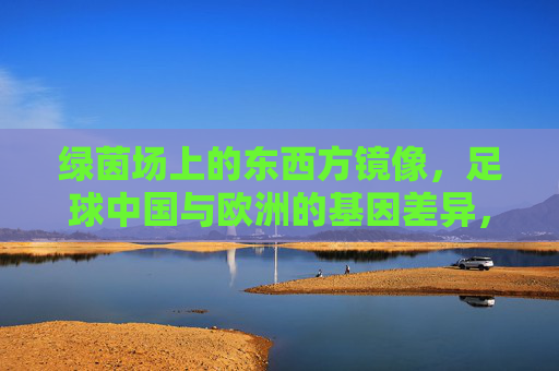 绿茵场上的东西方镜像，足球中国与欧洲的基因差异，绿茵镜像，中欧足球的基因差异