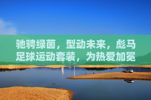 驰骋绿茵，型动未来，彪马足球运动套装，为热爱加冕，彪马足球运动套装，驰骋绿茵为热爱加冕，型动未来