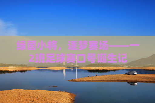 绿茵小将，逐梦赛场——一2班足球赛口号诞生记