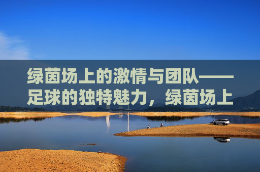 绿茵场上的激情与团队——足球的独特魅力，绿茵场上的激情与团队，足球的独特魅力