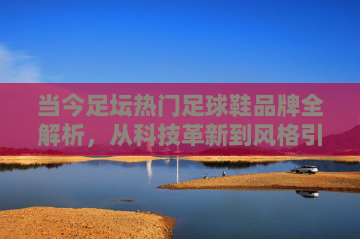 当今足坛热门足球鞋品牌全解析，从科技革新到风格引领，当今足坛热门足球鞋品牌全解析，科技革新与风格引领