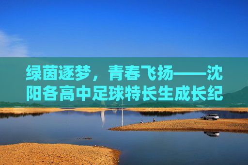 绿茵逐梦，青春飞扬——沈阳各高中足球特长生成长纪实，绿茵逐梦，青春飞扬——沈阳高中足球特长生成长纪实