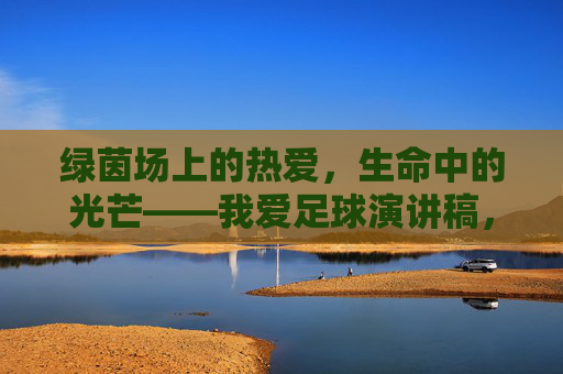 绿茵场上的热爱，生命中的光芒——我爱足球演讲稿，绿茵热爱，生命之光