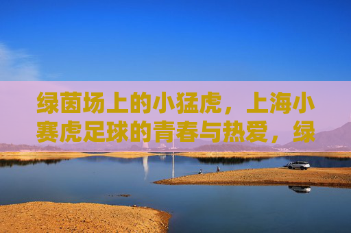 绿茵场上的小猛虎，上海小赛虎足球的青春与热爱，绿茵小猛虎，上海小赛虎足球的青春与热爱