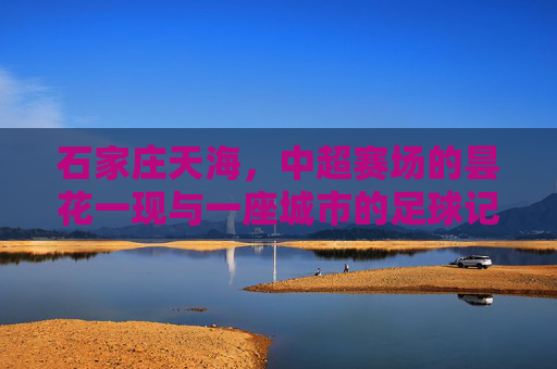 石家庄天海，中超赛场的昙花一现与一座城市的足球记忆，昙花一现的中超记忆，石家庄天海与一座城