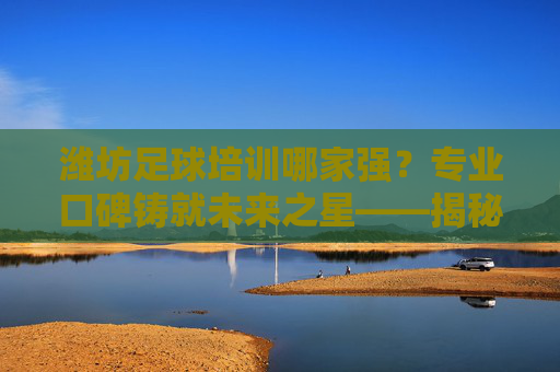潍坊足球培训哪家强？专业口碑铸就未来之星——揭秘潍坊最好的足球培训，潍坊足球培训哪家强？专业口碑铸就未来之星