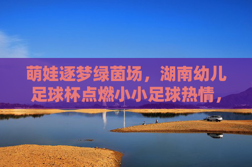萌娃逐梦绿茵场，湖南幼儿足球杯点燃小小足球热情，萌娃逐梦绿茵场，湖南幼儿足球杯点燃足球热情