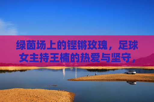绿茵场上的铿锵玫瑰，足球女主持王楠的热爱与坚守，铿锵玫瑰王楠，绿茵场上的热爱与坚守