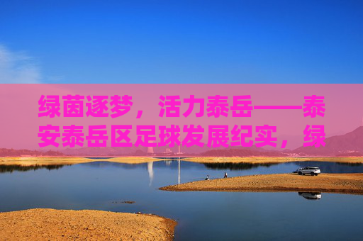 绿茵逐梦，活力泰岳——泰安泰岳区足球发展纪实，绿茵逐梦泰岳，足球发展纪实