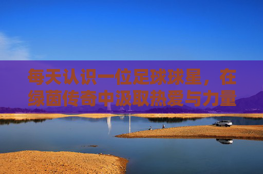 每天认识一位足球球星，在绿茵传奇中汲取热爱与力量，每日绿茵传奇，从足球球星身上汲取热爱与力量