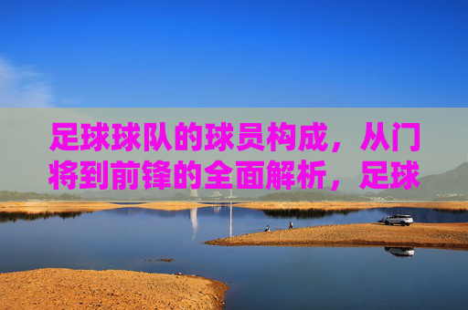 足球球队的球员构成，从门将到前锋的全面解析，足球球队球员构成，从门将到前锋的全面解析