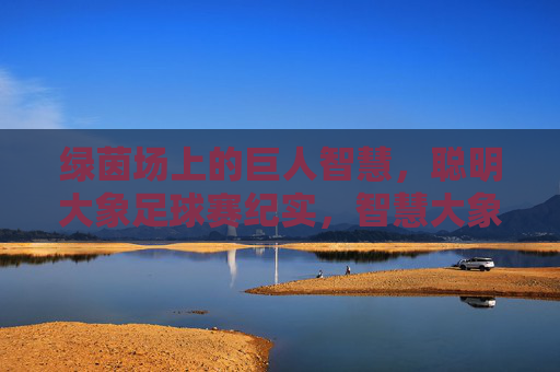 绿茵场上的巨人智慧，聪明大象足球赛纪实，智慧大象绿茵足球赛纪实
