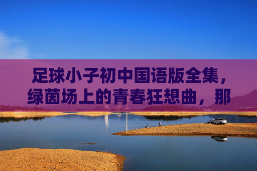 足球小子初中国语版全集，绿茵场上的青春狂想曲，那年夏天我们与足球共燃，足球小子，那年夏天的绿茵青春狂想