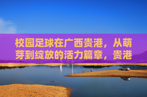 校园足球在广西贵港，从萌芽到绽放的活力篇章，贵港校园足球，萌芽绽放的活力篇章