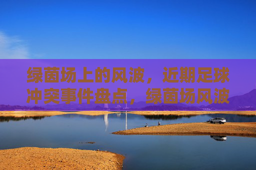 绿茵场上的风波，近期足球冲突事件盘点，绿茵场风波，近期足球冲突事件盘点