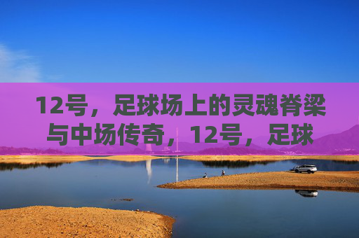 12号，足球场上的灵魂脊梁与中场传奇，12号，足球场的灵魂脊梁与中场传奇