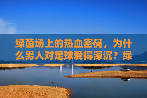 绿茵场上的热血密码，为什么男人对足球爱得深沉？绿茵热血密码，男人的足球深情
