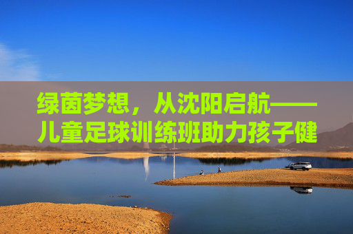绿茵梦想，从沈阳启航——儿童足球训练班助力孩子健康成长，绿茵梦想启航，儿童足球训练班助力健康成长