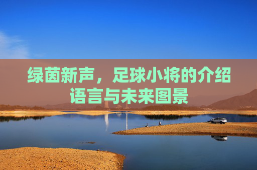 绿茵新声，足球小将的介绍语言与未来图景
