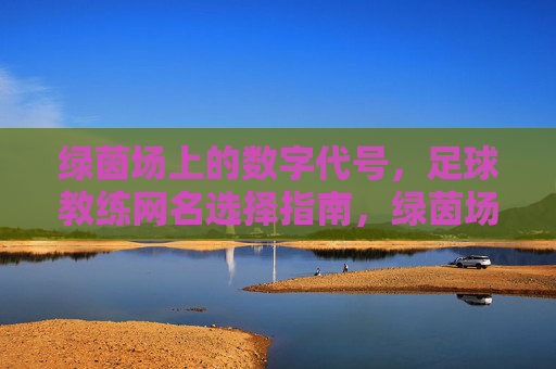 绿茵场上的数字代号，足球教练网名选择指南，绿茵场数字代号，足球教练网名选择指南