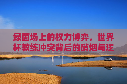 绿茵场上的权力博弈，世界杯教练冲突背后的硝烟与逻辑